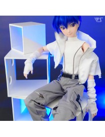 Long Arm Covers (White)