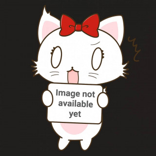 Platzhalterbild – offizielles Produktfoto folgt in Kürze